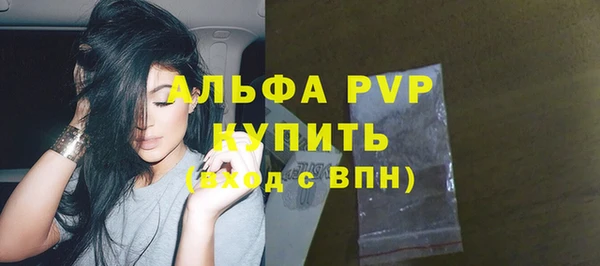 крисы Алзамай