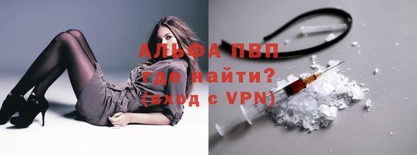 крисы Алзамай