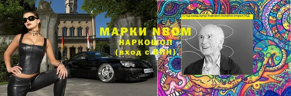 крисы Алзамай