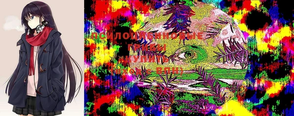 хмурый Семёнов