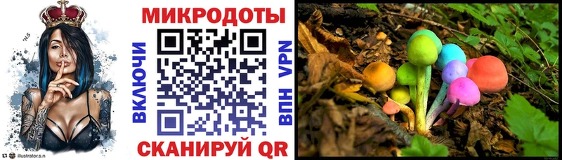 Галлюциногенные грибы Psilocybe  Кудрово 
