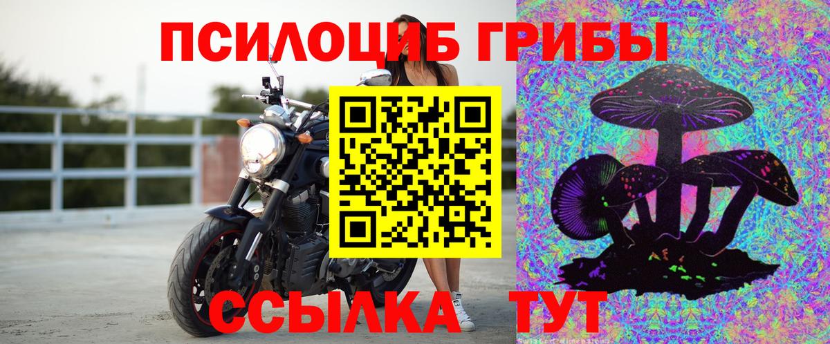 Галлюциногенные грибы мицелий Кудрово