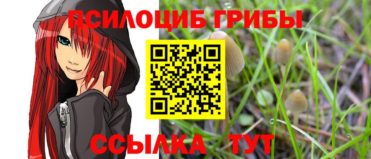 Псилоцибиновые грибы Psilocybe  Вход с VPN  Кудрово 
